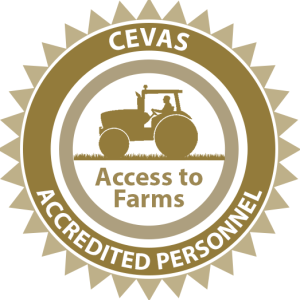 CEVAS Logo