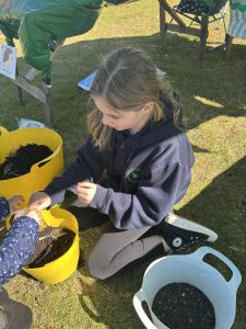 Child helping others to plant sunflowers